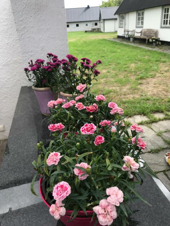 Bed & Breakfast Hoellviken Экстерьер фото